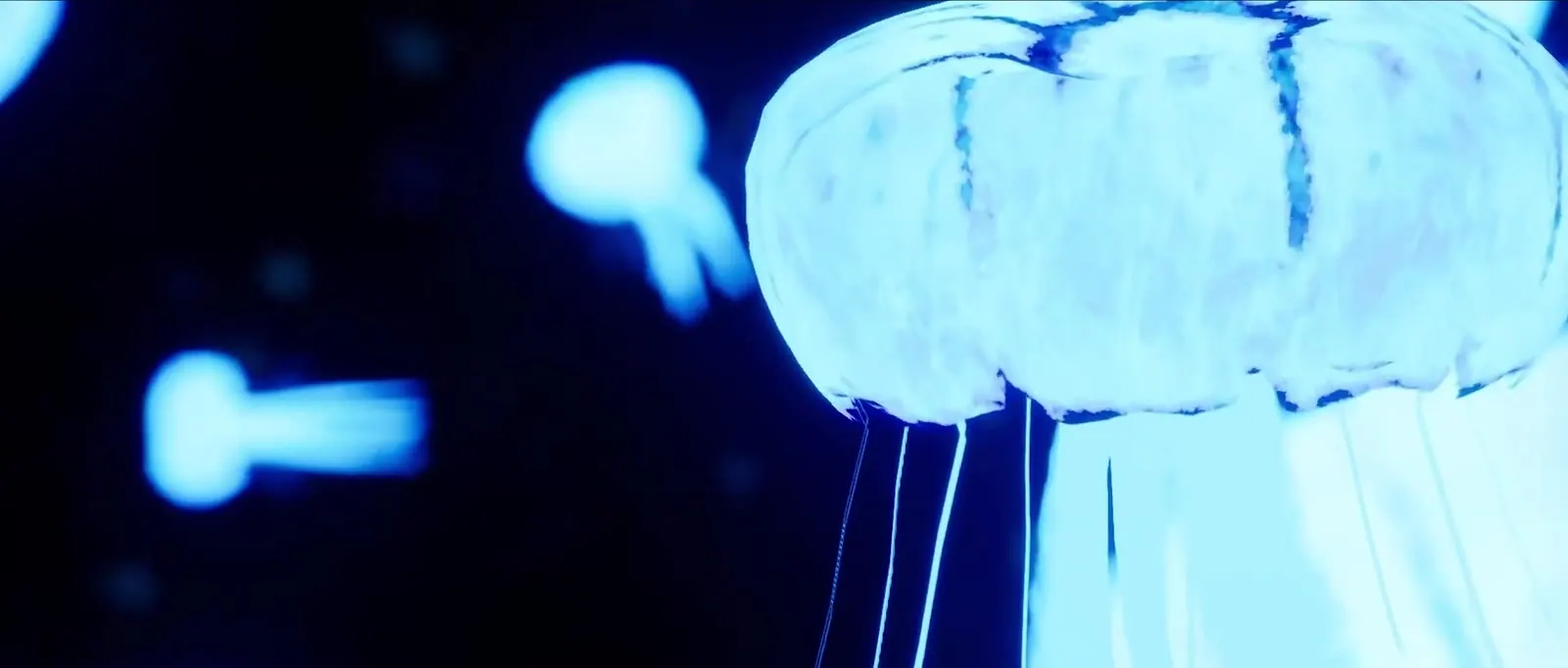 Glowing jellyfish