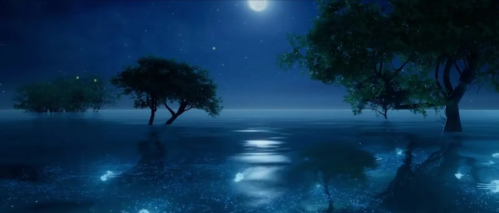 A tree on the water, at night